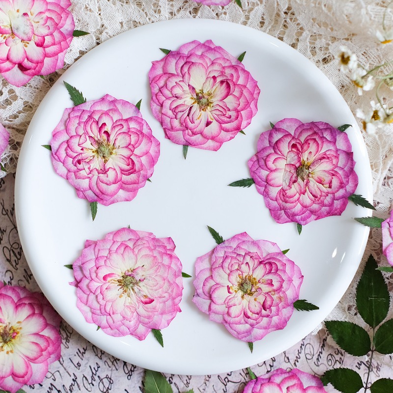 Resin Art Rose Petals - 6 Stück, Natürliche Getrocknete Rosen- und