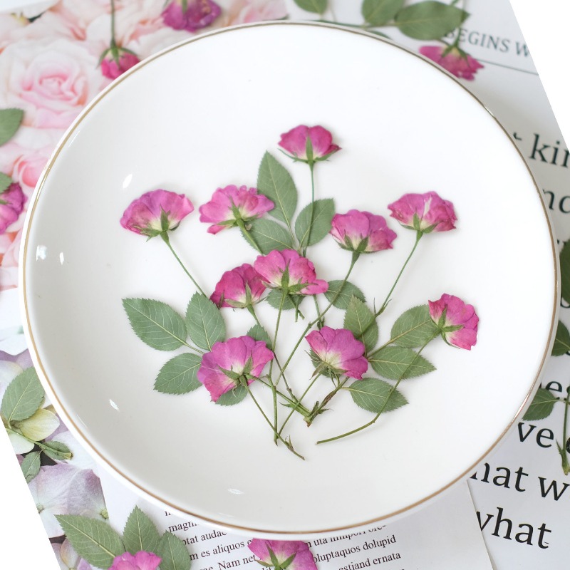 12 Stück, Echte Mini-Rosen Gep – Resin Art Rose Petals Bewertung und Preis