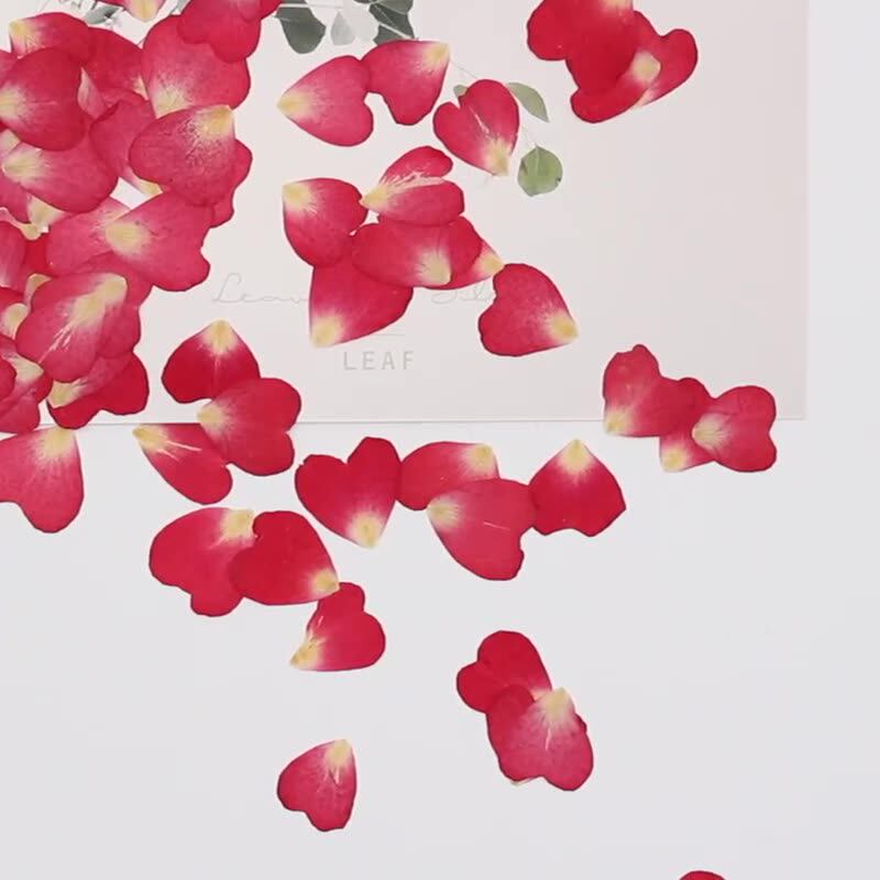 120 Stück Rosenblätter Gemisch – Resin Art Rose Petals Bewertung und Preis