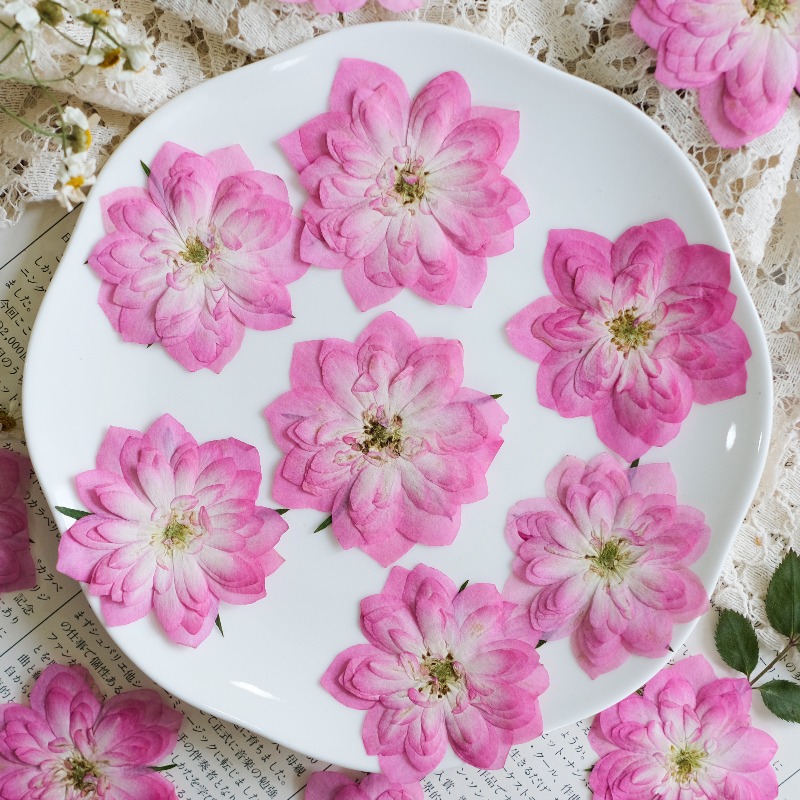 6 Stück, Natürliche Getrocknet – Resin Art Rose Petals Bewertung und Preis